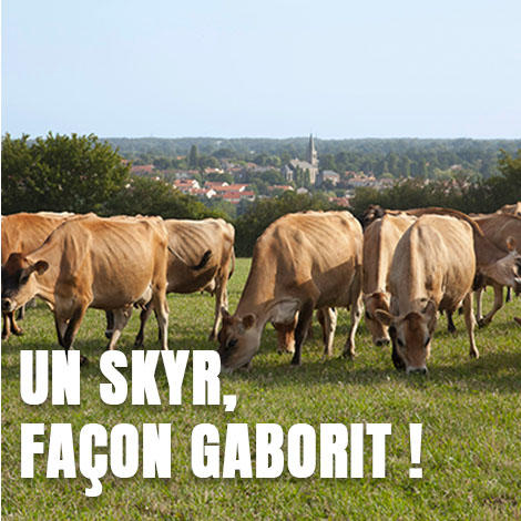 Un skyr, oui, mais à la façon Gaborit ! Un skyr, oui, mais à la façon Gaborit !